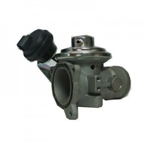 571822112061 EGR Valve MAGNETI MARELLI - Top1autovaruosad