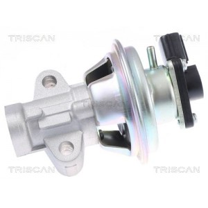 TRISCAN EGR-ventil 8813 16069 - Top1autovaruosad