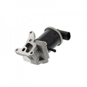 571822112068 EGR Valve MAGNETI MARELLI - Top1autovaruosad