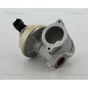 TRISCAN EGR-ventil 8813 16102 - Top1autovaruosad