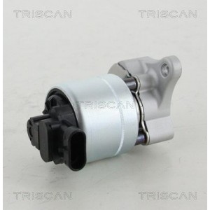 TRISCAN EGR-ventil 8813 28008 - Top1autovaruosad