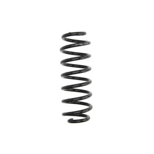 SW163MT Suspension Spring Magnum Technology - Top1autovaruosad