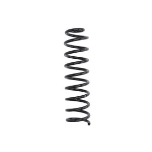 SM101MT Suspension Spring Magnum Technology - Top1autovaruosad