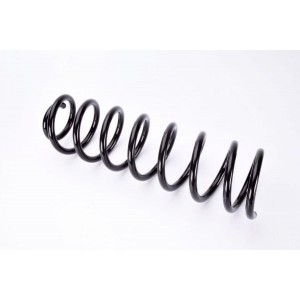 SR074MT Suspension Spring Magnum Technology - Top1autovaruosad