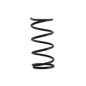 SZ0329MT Suspension Spring Magnum Technology - Top1autovaruosad