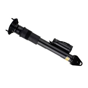 24-167666 Shock Absorber BILSTEIN - Top1autovaruosad