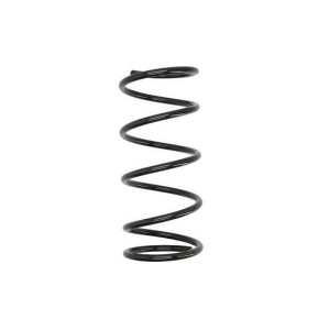 SZ0333MT Suspension Spring Magnum Technology - Top1autovaruosad