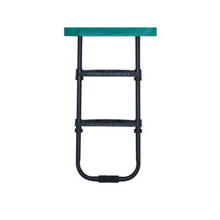 Trampoline ladder