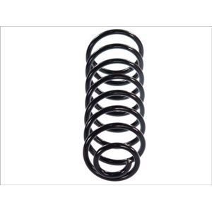 SW047MT Suspension Spring Magnum Technology - Top1autovaruosad