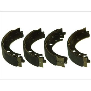 C04001ABE  Brake shoe ABE 