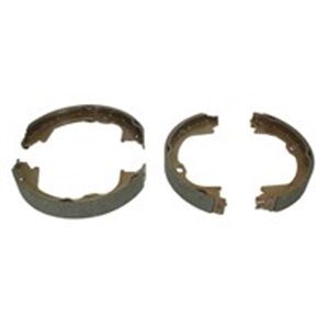 LPR01102  Brake shoe LPR 