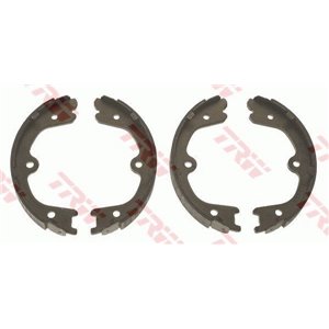 GS8791  Brake shoe TRW 