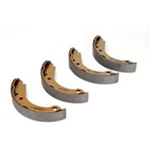 LPR04280  Brake shoe LPR 