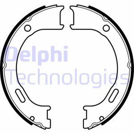 LS2076 Brake Shoe Set, parking brake DELPHI