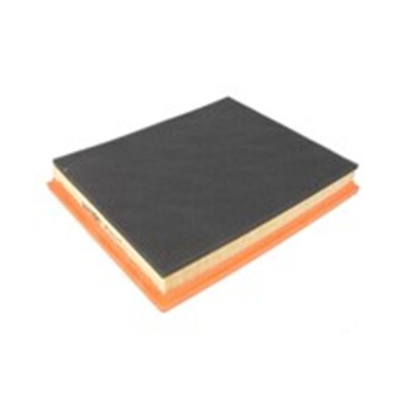 AP 003/7 Air Filter FILTRON