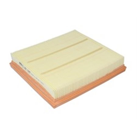 C 24 025 Air Filter MANN-FILTER