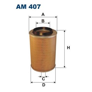 AM 407 Air Filter FILTRON - Top1autovaruosad