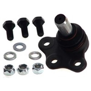 33841 Ball Joint FEBI BILSTEIN - Top1autovaruosad