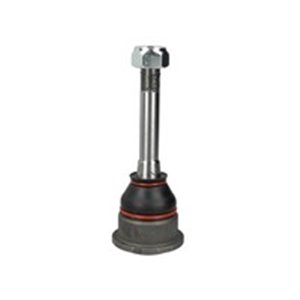 03822 Ball Joint FEBI BILSTEIN - Top1autovaruosad