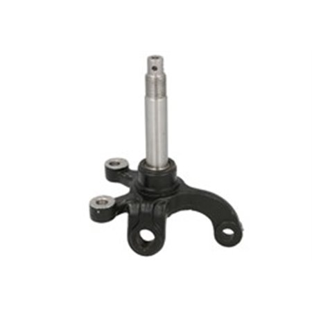 IP000379  Steering knuckle INPARTS 