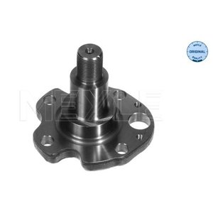 100 501 0029 Steering Knuckle, wheel suspension MEYLE - Top1autovaruosad