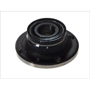 H2F009BTA  Wheel bearing kit with a hub BTA 