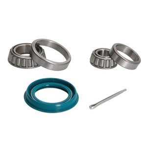 H1X001BTA  Wheel bearing kit BTA 