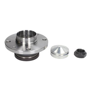 H2F014BTA  Wheel bearing kit with a hub BTA 