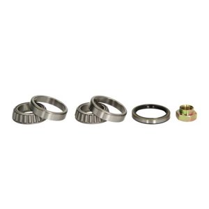 H13014BTA Wheel Bearing Kit BTA - Top1autovaruosad