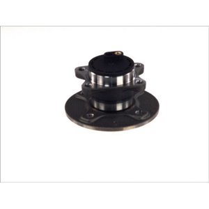 H22091BTA  Wheel bearing kit with a hub BTA 