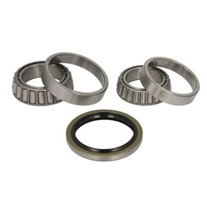 H12023BTA Wheel Bearing Kit BTA - Top1autovaruosad