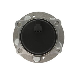 H20324BTA Wheel Bearing BTA - Top1autovaruosad