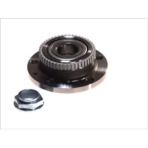 H2P018BTA  Wheel bearing kit with a hub BTA 