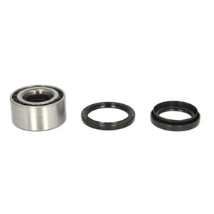 H18002BTA Wheel Bearing Kit BTA - Top1autovaruosad