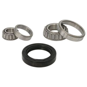 H1M003BTA Wheel Bearing Kit BTA - Top1autovaruosad