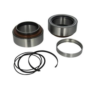 B01-1801594  Wheel bearing kit BTA 
