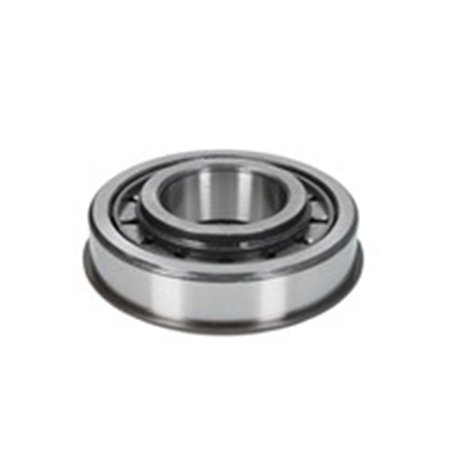 530913 Gearbox bearing