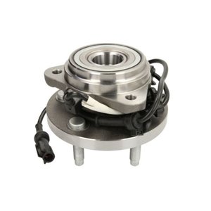 H1Y053BTA  Wheel bearing kit with a hub BTA 