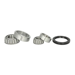 H11069BTA Wheel Bearing BTA - Top1autovaruosad