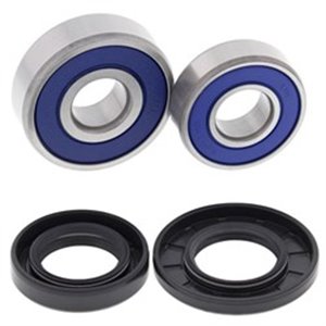 AB25-1695  Wheel bearing 4 RIDE  - Top1autovaruosad