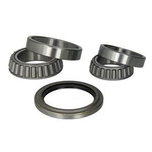 H12041BTA Wheel Bearing BTA - Top1autovaruosad