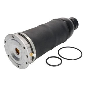 MZA008MT Air Suspension Strut Magnum Technology - Top1autovaruosad