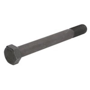 FE07272  Leaf spring fixing bolt FEBI 