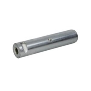 FE09579  Leaf spring bolt FEBI 