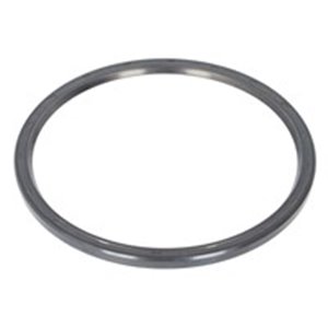 327.255 Seal Ring, spring link ELRING - Top1autovaruosad