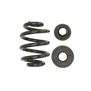 LS4295019  Front axle coil spring LESJÖFORS 