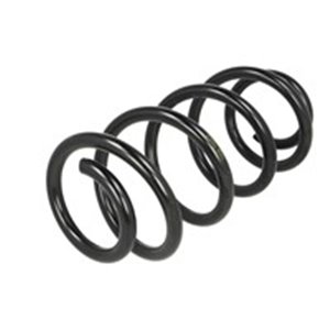 4004289 Suspension Spring LESJÖFORS - Top1autovaruosad