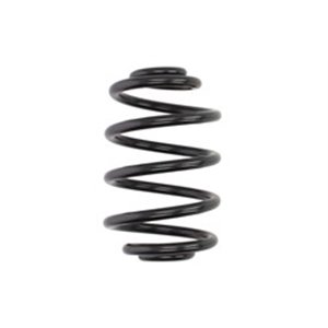 LS4272914  Front axle coil spring LESJÖFORS 