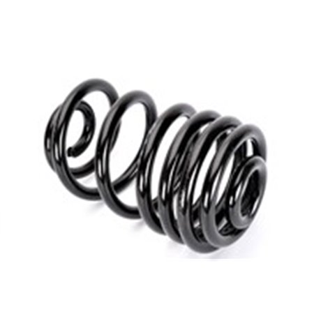 RX6216 Suspension Spring KYB