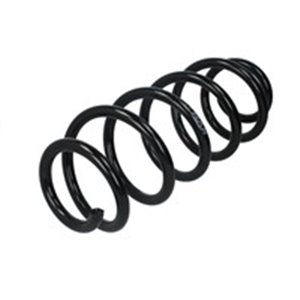 RH1019 Suspension Spring KYB - Top1autovaruosad